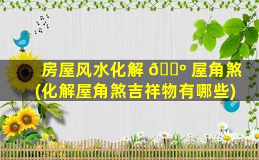 房屋风水化解 🐺 屋角煞(化解屋角煞吉祥物有哪些)